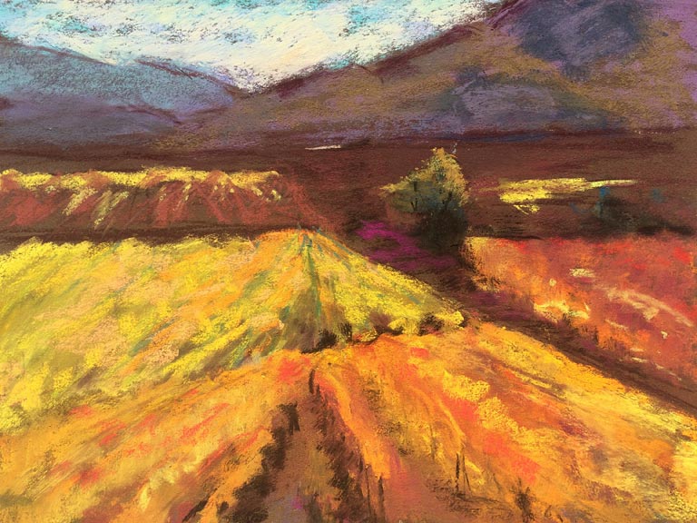 Fiery Vineyard