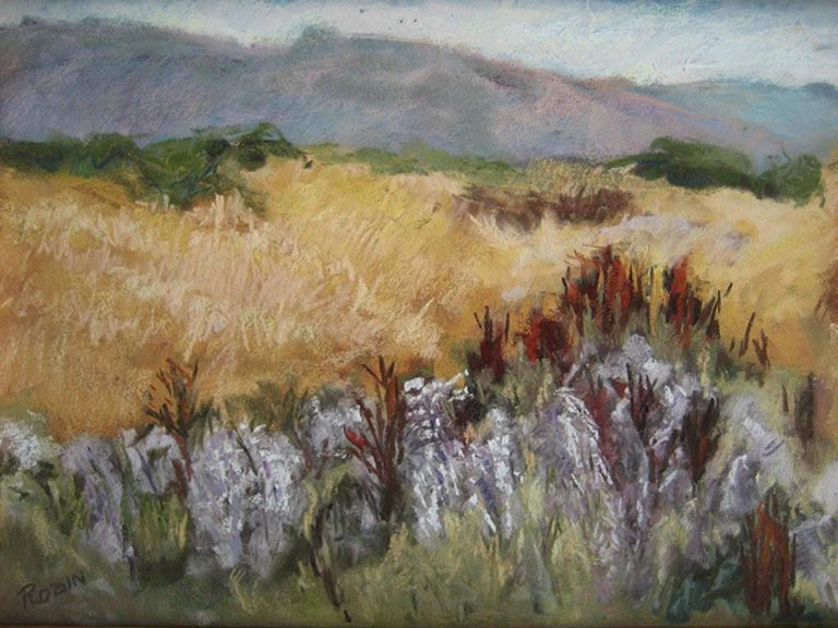 Coastal Grasses