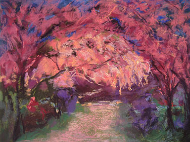 California Spring