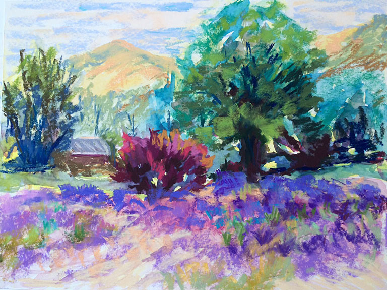 Fields of Lavender